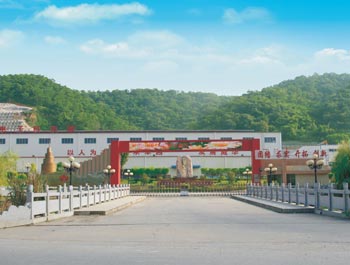 梅州市威利邦电子科技有限万搏（中国）
